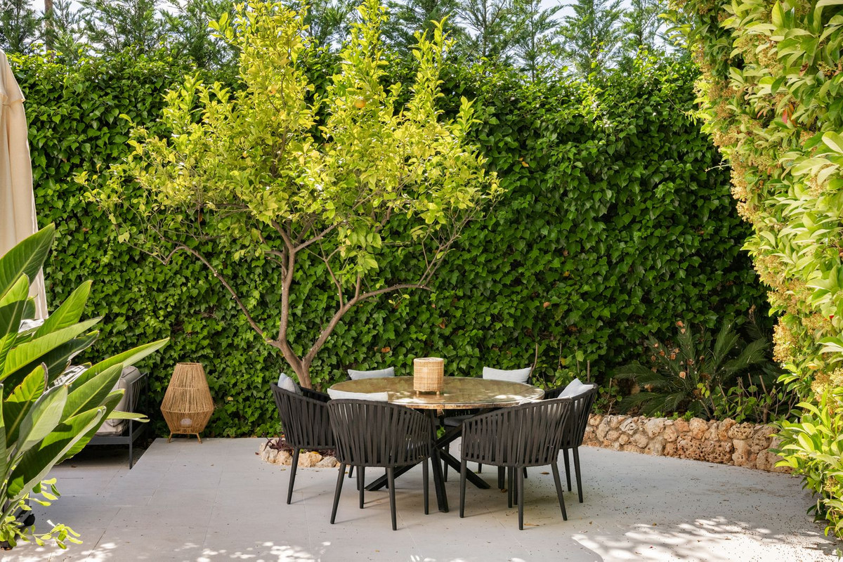 Shaded patio with a round table beneath a lemon tree