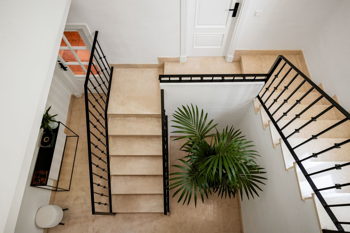 Stairwell seen from above with limestone steps and a palm