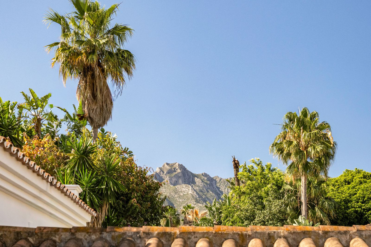 View towards the Sierra Blanca massif over palms and rooftops